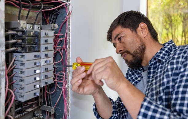 Best Local Electrician Companies  in Greenville, NY